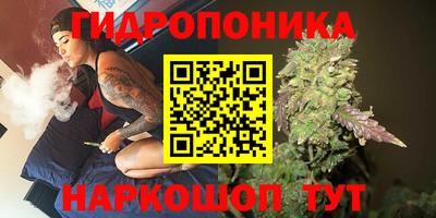 спайс Славгород