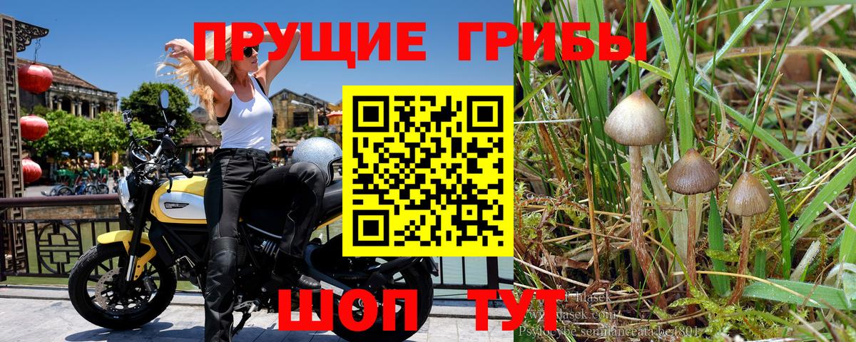 Галлюциногенные грибы мицелий Чусовой